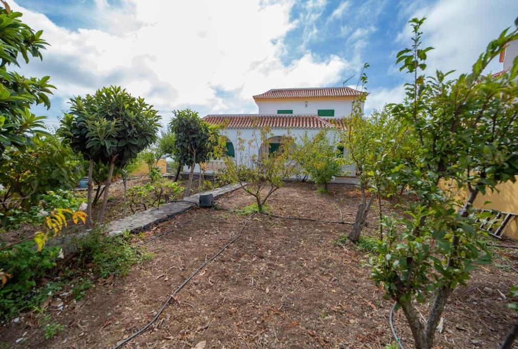 Villa Teram Alajeró Εξωτερικό φωτογραφία